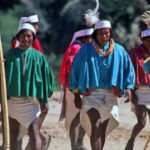 Raramuris, Wikipedia