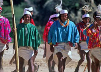 Raramuris, Wikipedia